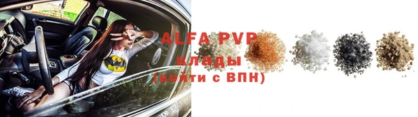 твердый Абаза