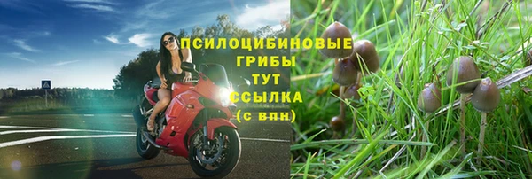 твердый Абаза