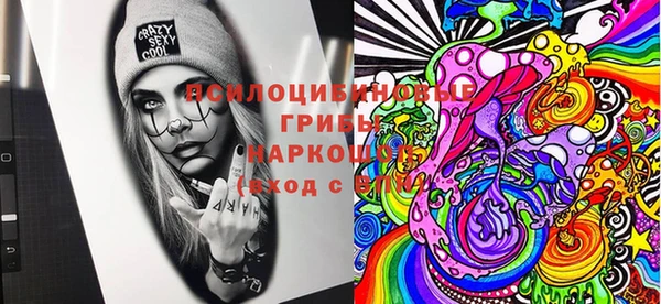 твердый Абаза
