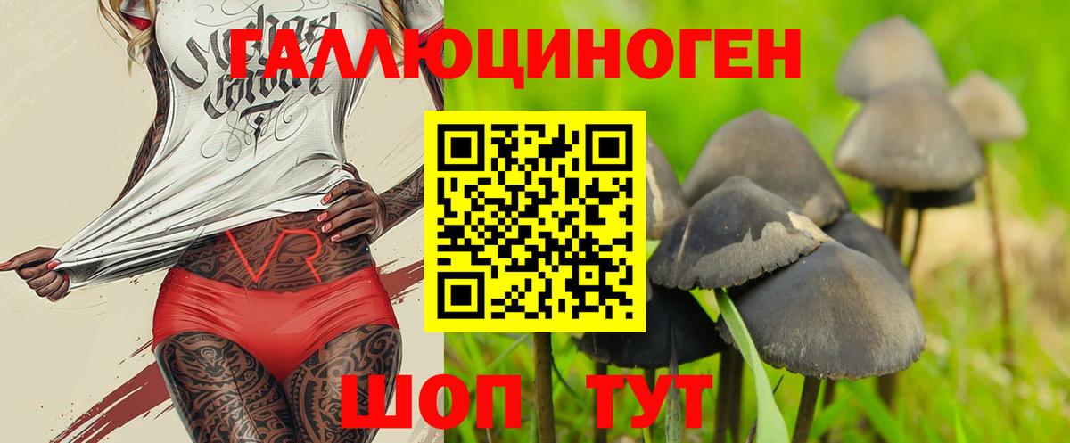 Псилоцибиновые грибы мицелий  Вход с VPN  Псилоцибиновые грибы мухоморы  Донецк 